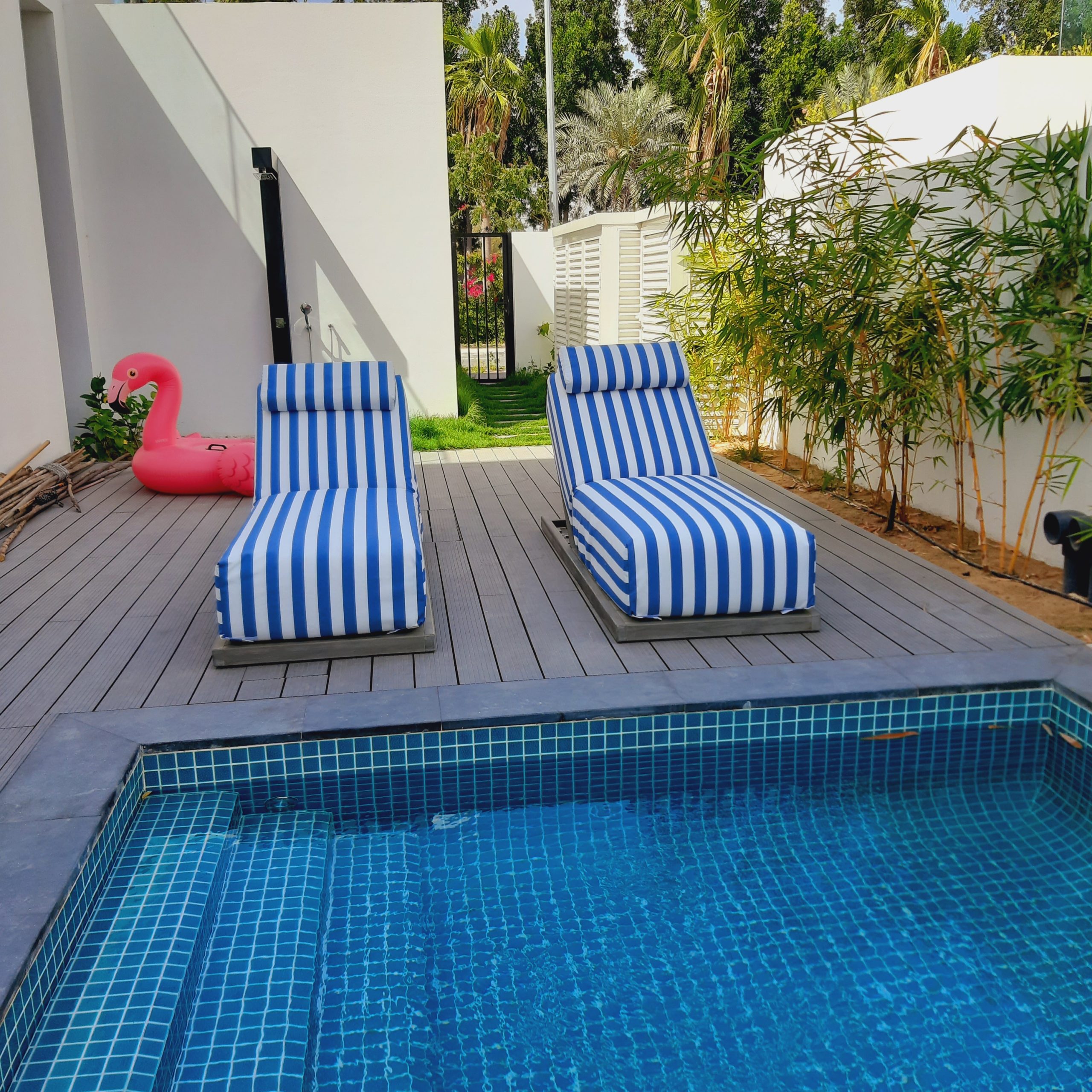 20230415_101143 20230415_101143